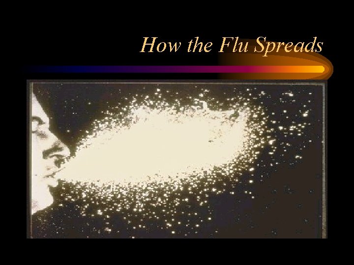 How the Flu Spreads 