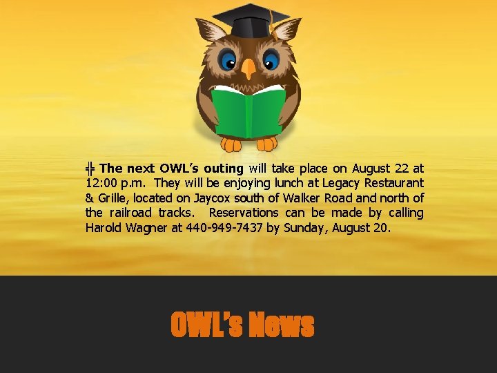 ╬ The next OWL’s outing will take place on August 22 at 12: 00