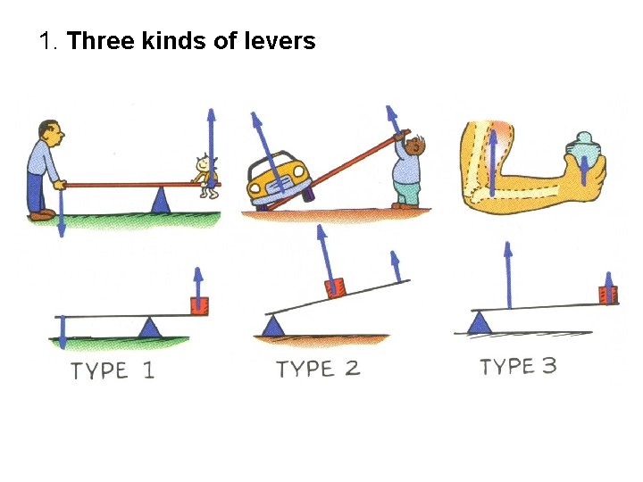 1. Three kinds of levers 