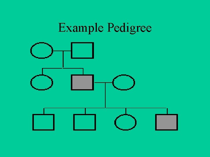 Example Pedigree 