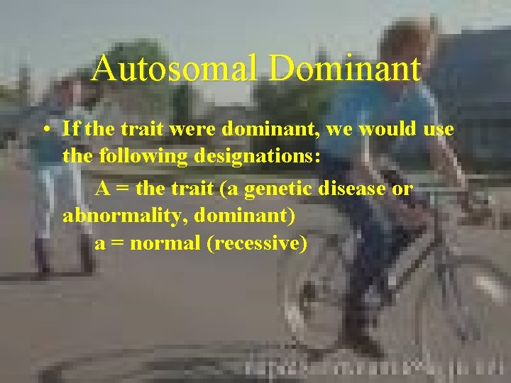 Autosomal Dominant • If the trait were dominant, we would use the following designations: