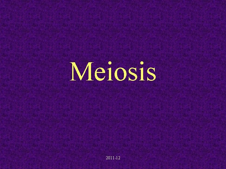 Meiosis 2011 -12 