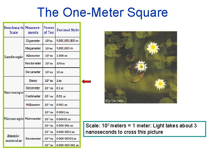 The One-Meter Square Scale: 100 meters = 1 meter: Light takes about 3 nanoseconds
