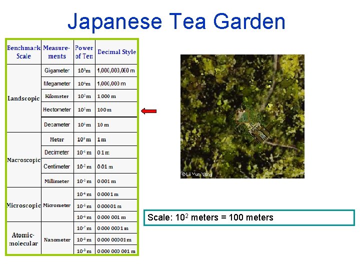 Japanese Tea Garden Scale: 102 meters = 100 meters 