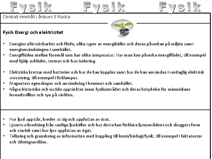 Centralt innehåll i årskurs 5 Nacka Fysik Energi och elektricitet • • Energins oförstörbarhet