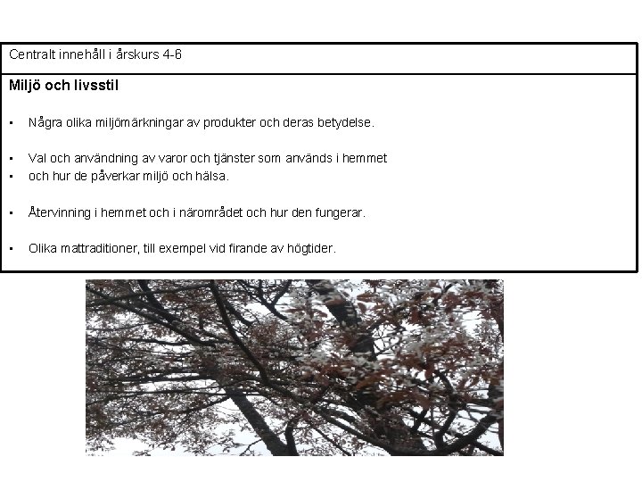 Centralt innehåll i årskurs 4 -6 Miljö och livsstil • Några olika miljömärkningar av