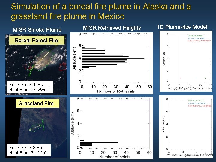 Simulation of a boreal fire plume in Alaska and a grassland fire plume in