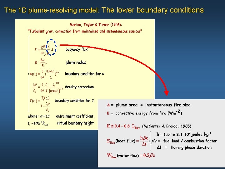 The 1 D plume-resolving model: The lower boundary conditions 