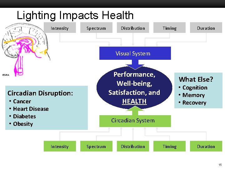 Lighting Impacts Health Intensity Spectrum Distribution Timing Duration Boston University Slideshow Title Goes Here