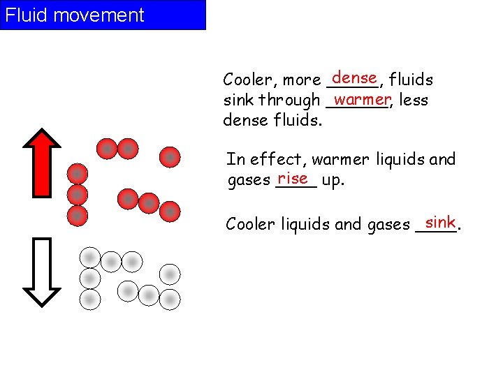 Fluid movement dense fluids Cooler, more _____, warmer less sink through ______, dense fluids.
