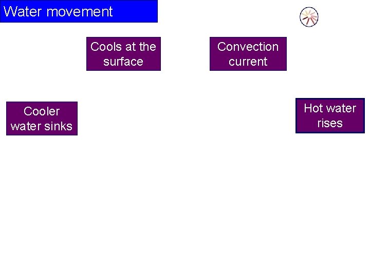 Water movement Cools at the surface Cooler water sinks Convection current Hot water rises