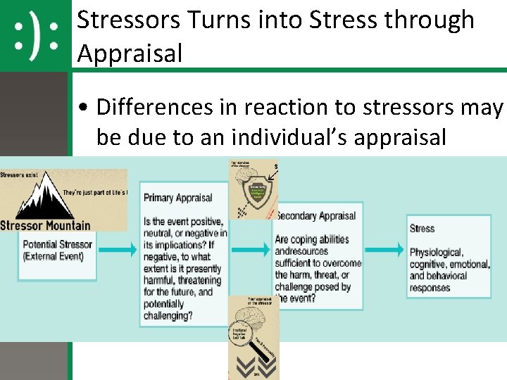 Stressors Turns into Stress through Appraisal • Differences in reaction to stressors may be