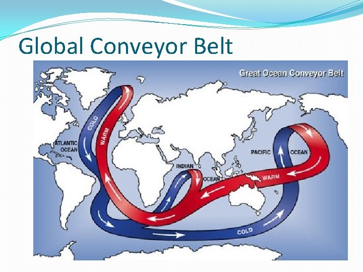 Global Conveyor Belt 