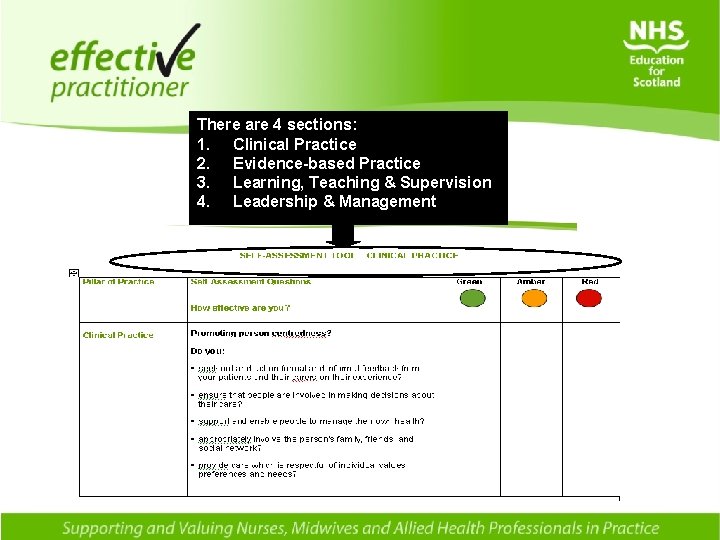 There are 4 sections: 1. Clinical Practice 2. Evidence-based Practice 3. Learning, Teaching &