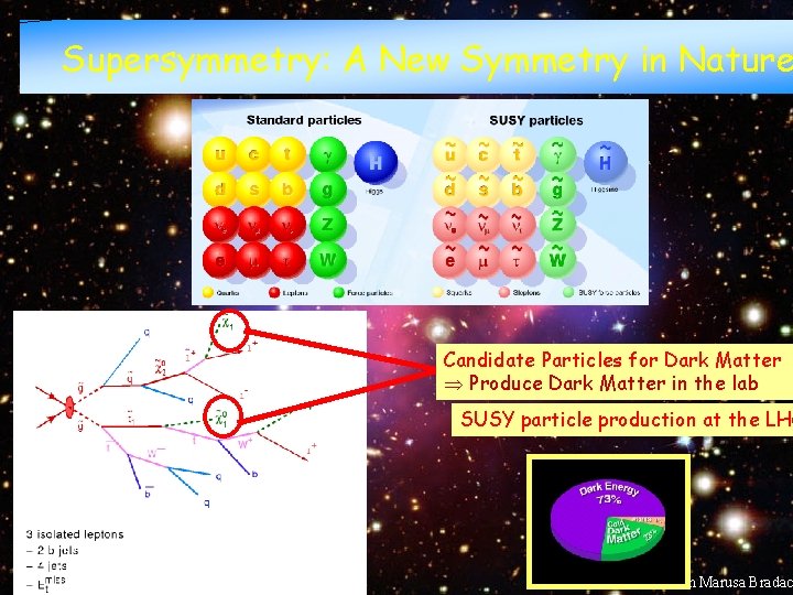Beyond the Higgs Boson Supersymmetry: A New Symmetry in Nature Candidate Particles for Dark