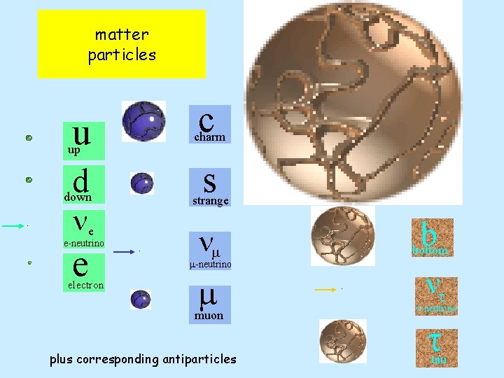 matter particles c u charm d s up down. strange ne e-neutrino e electron