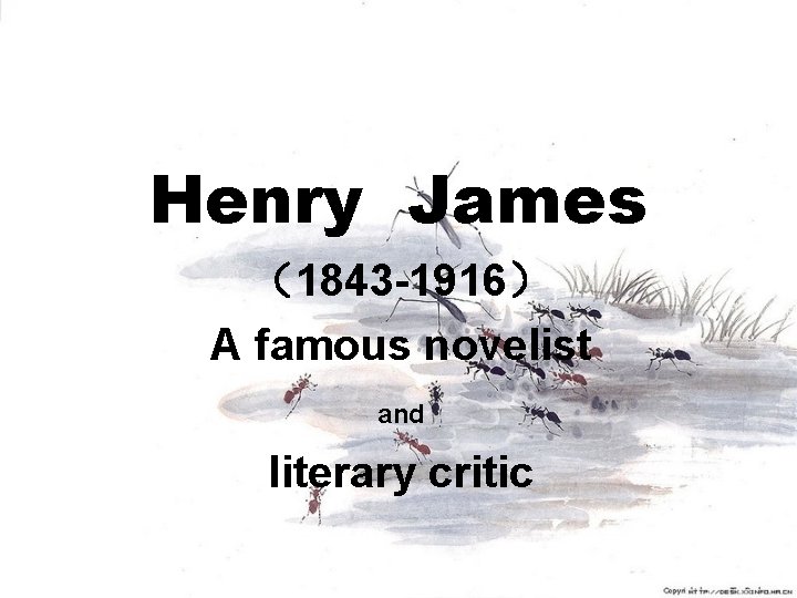 Henry James （1843 -1916） A famous novelist and literary critic 