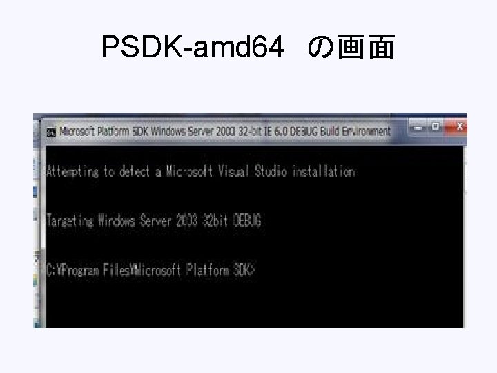 PSDK-amd 64　の画面 