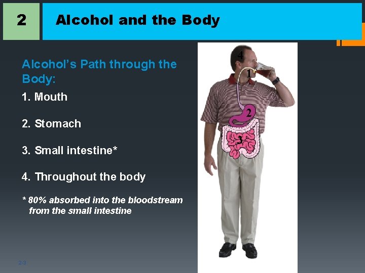 2 Alcohol and the Body Alcohol’s Path through the Body: 4 1 1. Mouth