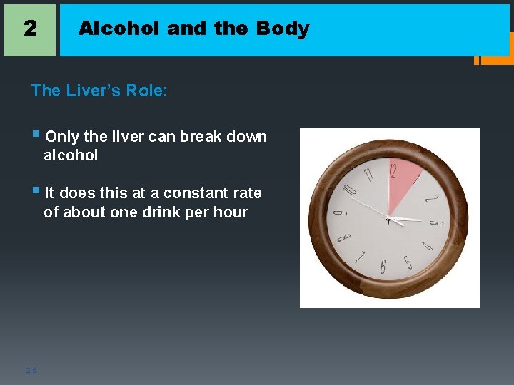 2 Alcohol and the Body The Liver’s Role: § Only the liver can break