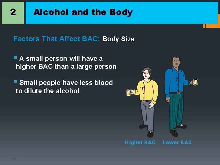 2 Alcohol and the Body Factors That Affect BAC: Body Size § A small