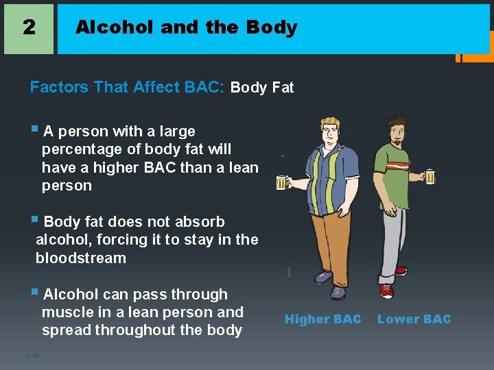 2 Alcohol and the Body Factors That Affect BAC: Body Fat § A person