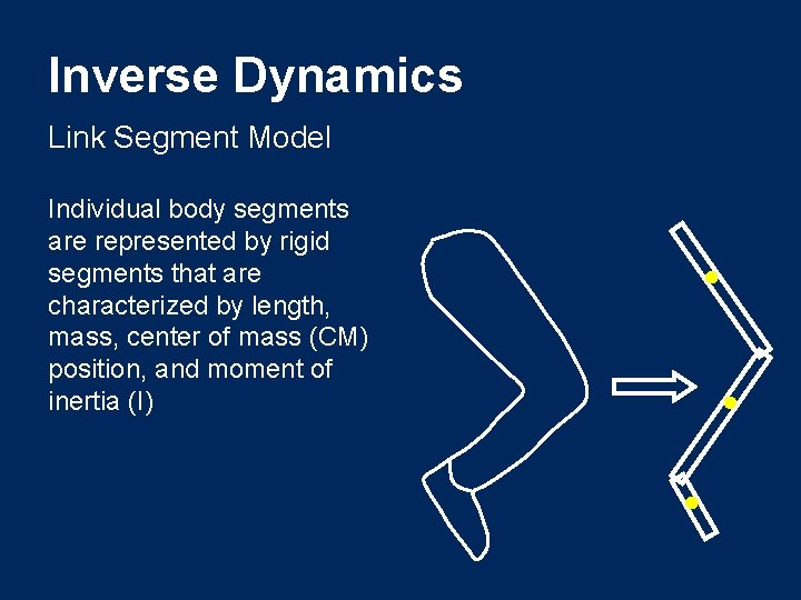 Inverse Dynamics Link Segment Model Individual body segments are represented by rigid segments that