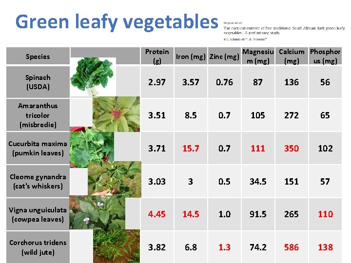 Green leafy vegetables Species Protein Magnesiu Calcium Phosphor Iron (mg) Zinc (mg) (g) m