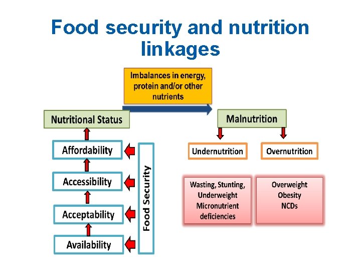 Food security and nutrition linkages 
