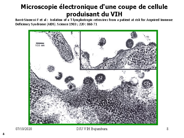 Microscopie électronique d'une coupe de cellule produisant du VIH Barré-Sinoussi F et al :