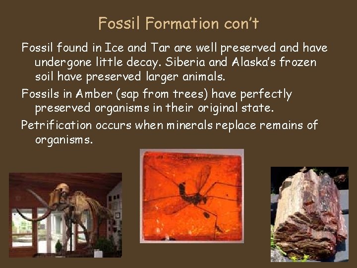 Fossil Formation con’t Fossil found in Ice and Tar are well preserved and have