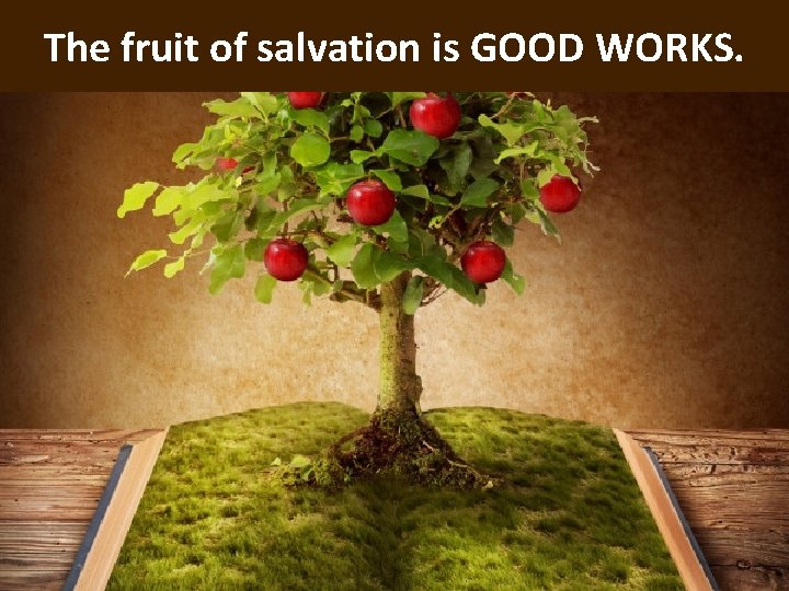 The fruit of salvation is GOOD WORKS. 