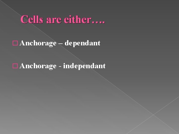 Cells are either…. � Anchorage – dependant � Anchorage - independant 