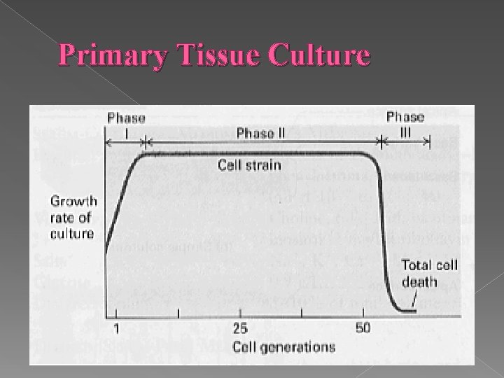 Primary Tissue Culture 