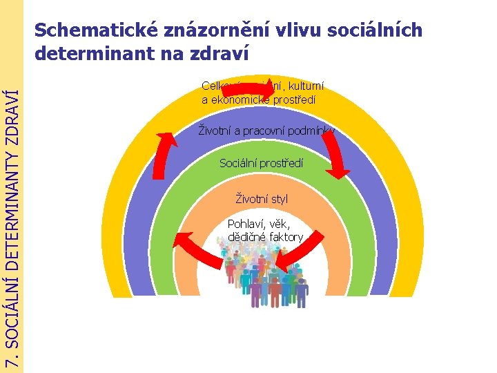7. SOCIÁLNÍ DETERMINANTY ZDRAVÍ Schematické znázornění vlivu sociálních determinant na zdraví Celkové sociální, kulturní