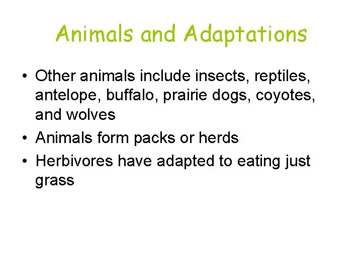 Animals and Adaptations • Other animals include insects, reptiles, antelope, buffalo, prairie dogs, coyotes,