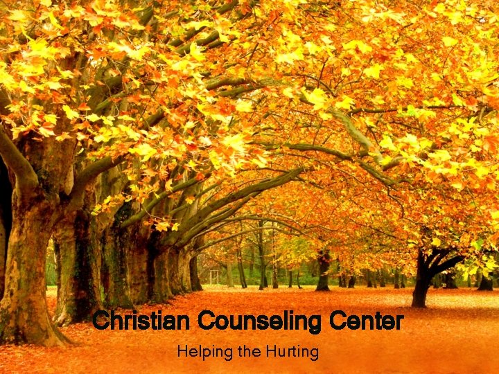 Christian Counseling Center Helping the Hurting 