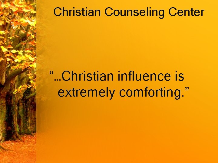 Christian Counseling Center “…Christian influence is extremely comforting. ” 