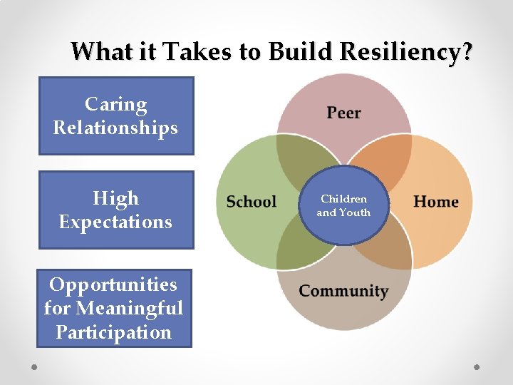 What it Takes to Build Resiliency? Caring Relationships High Expectations Opportunities for Meaningful Participation What it Takes to Build Resiliency? Caring Relationships High Expectations Opportunities for Meaningful Participation