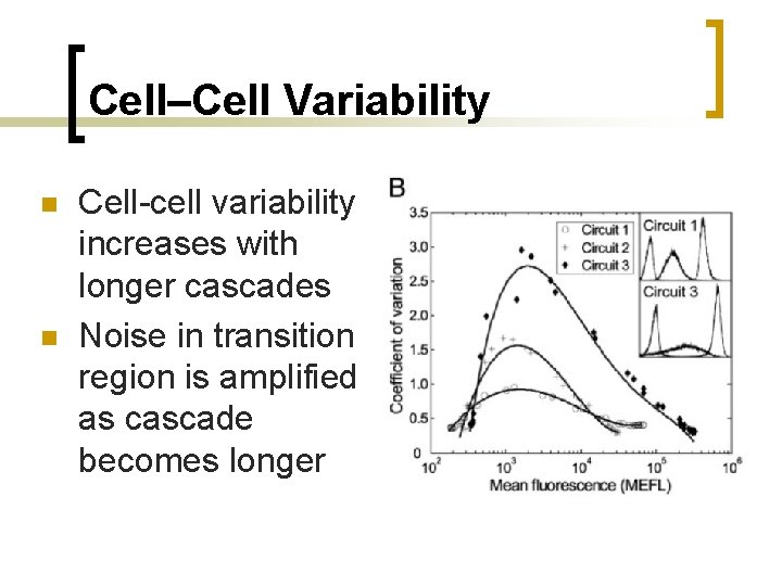 Cell–Cell Variability n n Cell-cell variability increases with longer cascades Noise in transition region