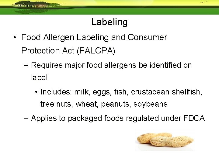 Labeling • Food Allergen Labeling and Consumer Protection Act (FALCPA) – Requires major food