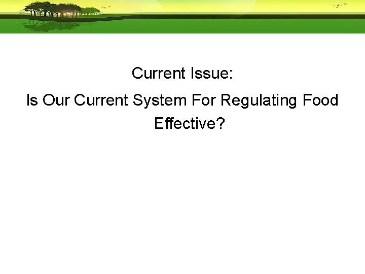 Current Issue: Is Our Current System For Regulating Food Effective? 