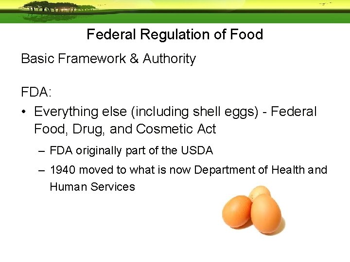 Federal Regulation of Food Basic Framework & Authority FDA: • Everything else (including shell