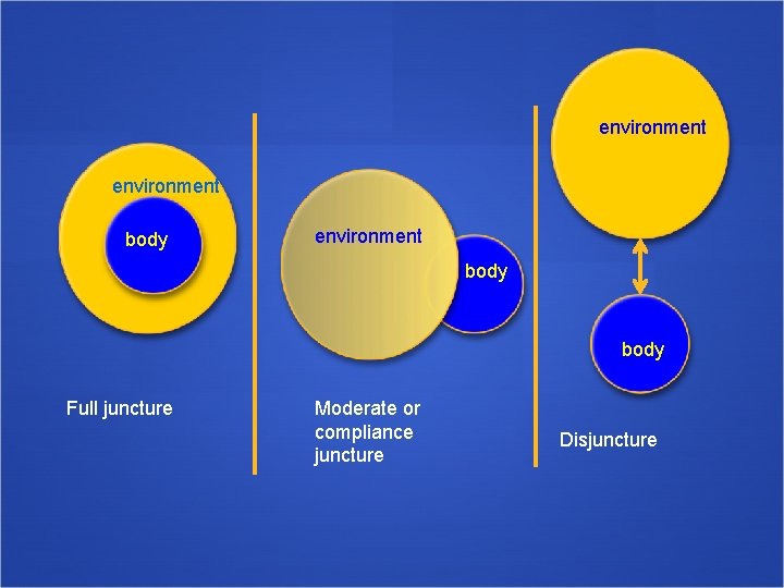 environment body Full juncture Moderate or compliance juncture Disjuncture 