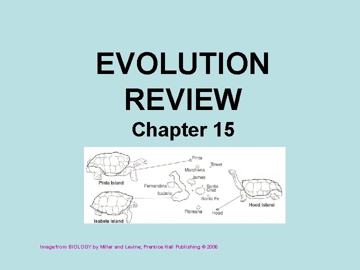 EVOLUTION REVIEW Chapter 15 Image from BIOLOGY by Miller and Levine; Prentice Hall Publishing