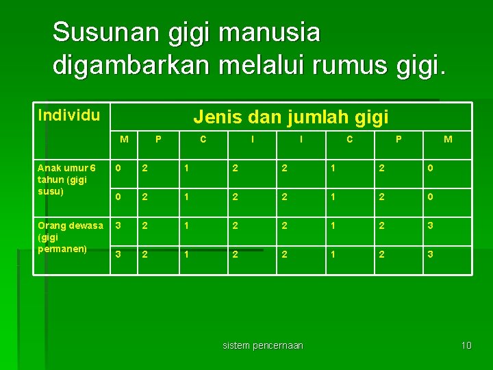 Susunan gigi manusia digambarkan melalui rumus gigi. Individu Jenis dan jumlah gigi M P