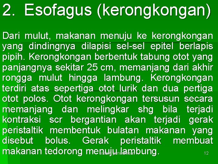 2. Esofagus (kerongkongan) Dari mulut, makanan menuju ke kerongkongan yang dindingnya dilapisi sel-sel epitel