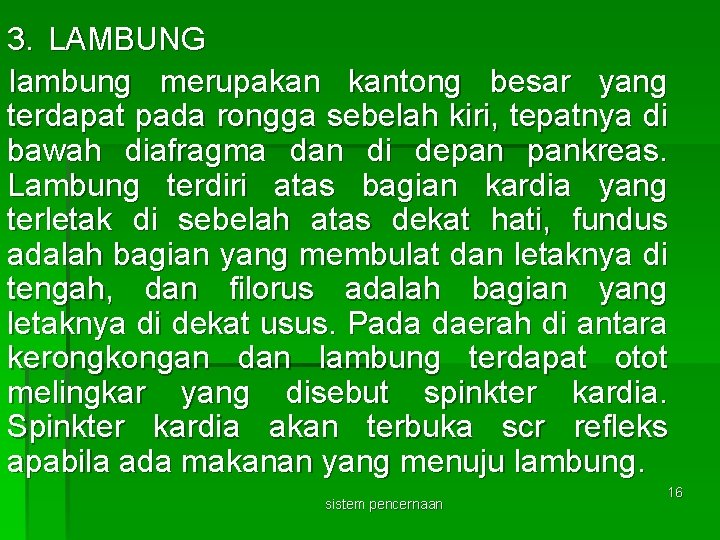 3. LAMBUNG lambung merupakan kantong besar yang terdapat pada rongga sebelah kiri, tepatnya di