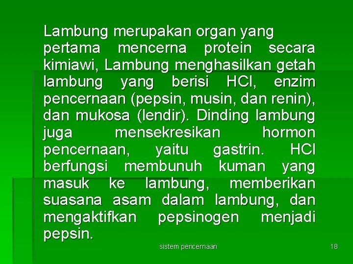 Lambung merupakan organ yang pertama mencerna protein secara kimiawi, Lambung menghasilkan getah lambung yang