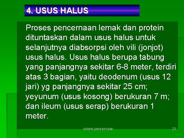 4. USUS HALUS Proses pencernaan lemak dan protein dituntaskan dalam usus halus untuk selanjutnya